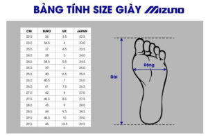 Bảng sz giày Mizuno 
